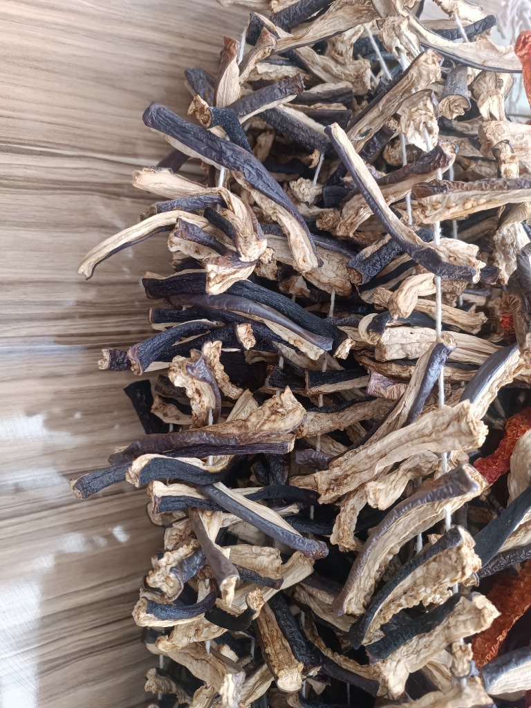 Musakkalık Patlıcan 