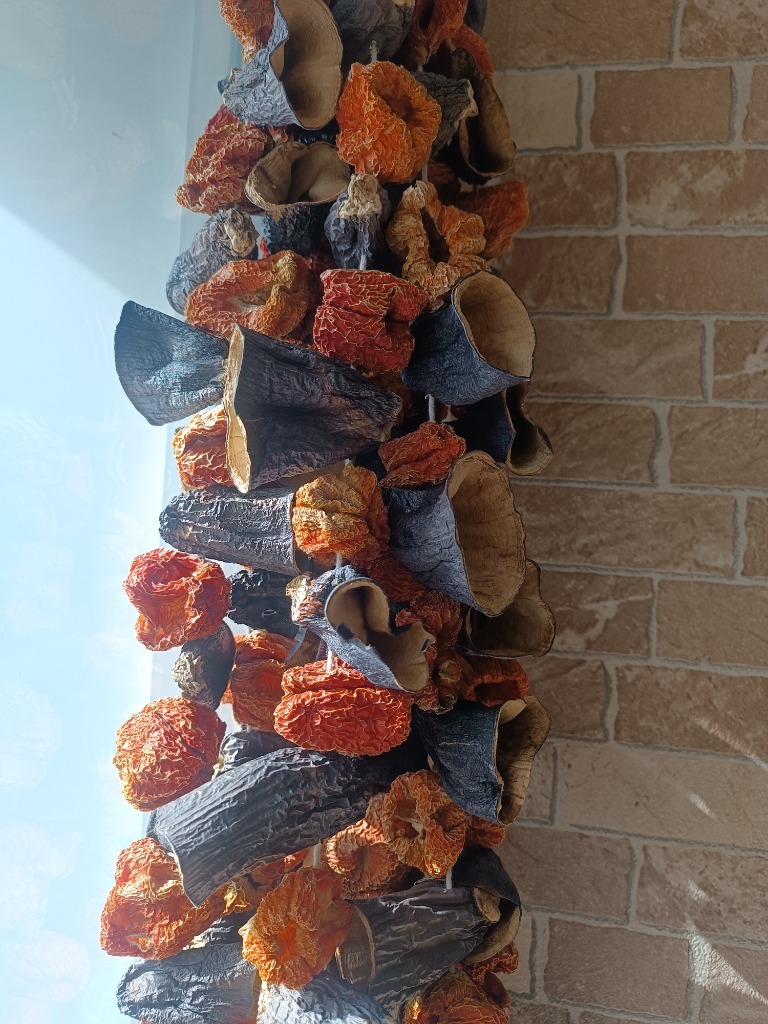 Karışık Dolmalık 